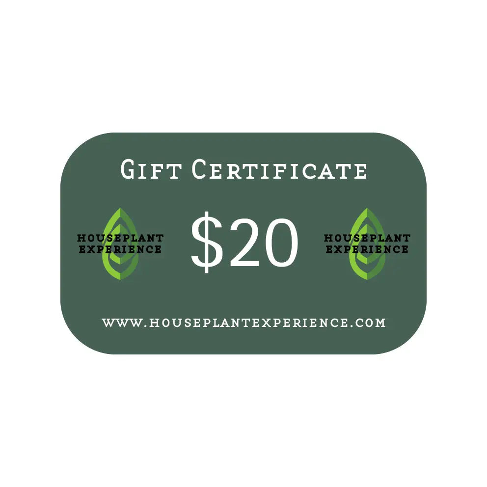 Gift Certificate HouseplantExperience.com