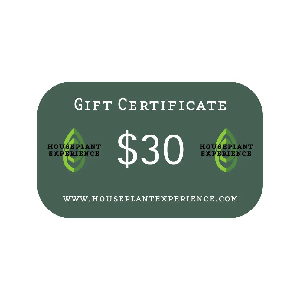Gift Certificate HouseplantExperience.com