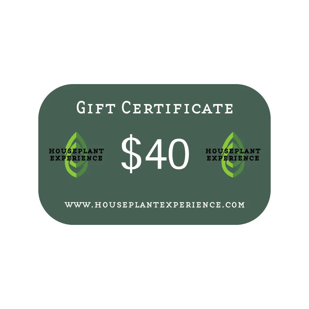 Gift Certificate HouseplantExperience.com