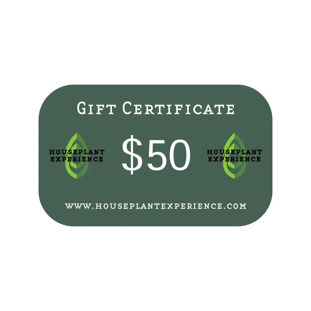 Gift Certificate HouseplantExperience.com